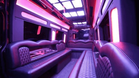 Portland 14 passenger sprinter limousine interior