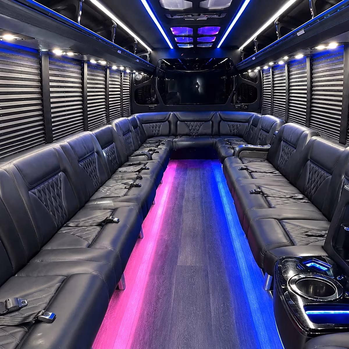 Passenger watching the Portland scenery during a regional party bus road trip